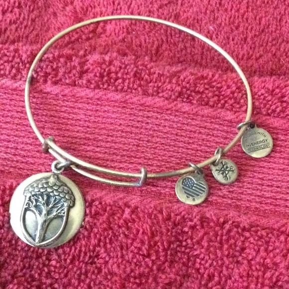 Alex and Ani Jewelry - Alex And Ani Bracelet